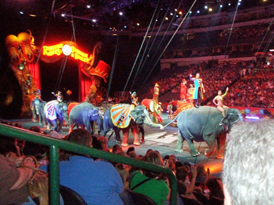 Ringling Bros Circus 30.JPG